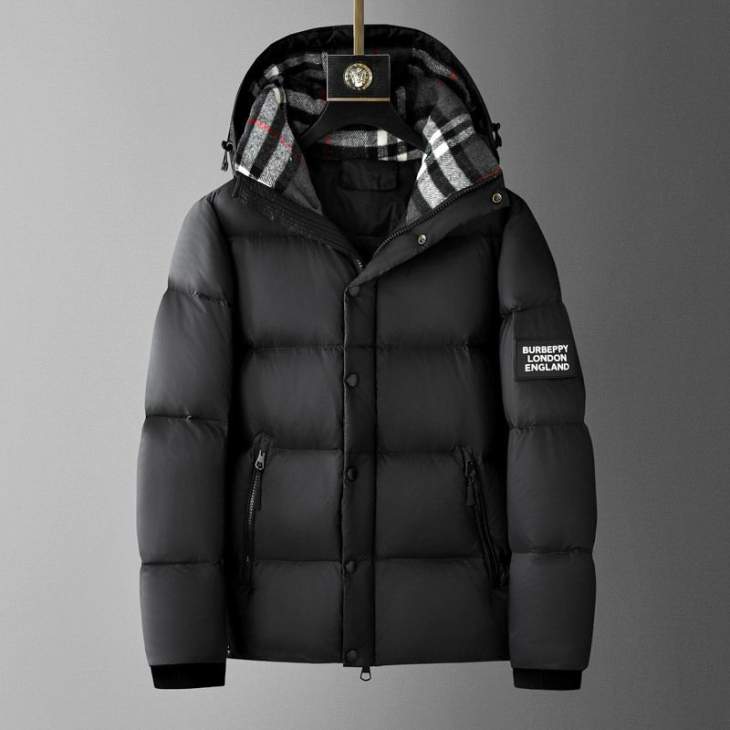 Picture of Burberry Down Jackets _SKUBurberryM-2XL25cxY01638007